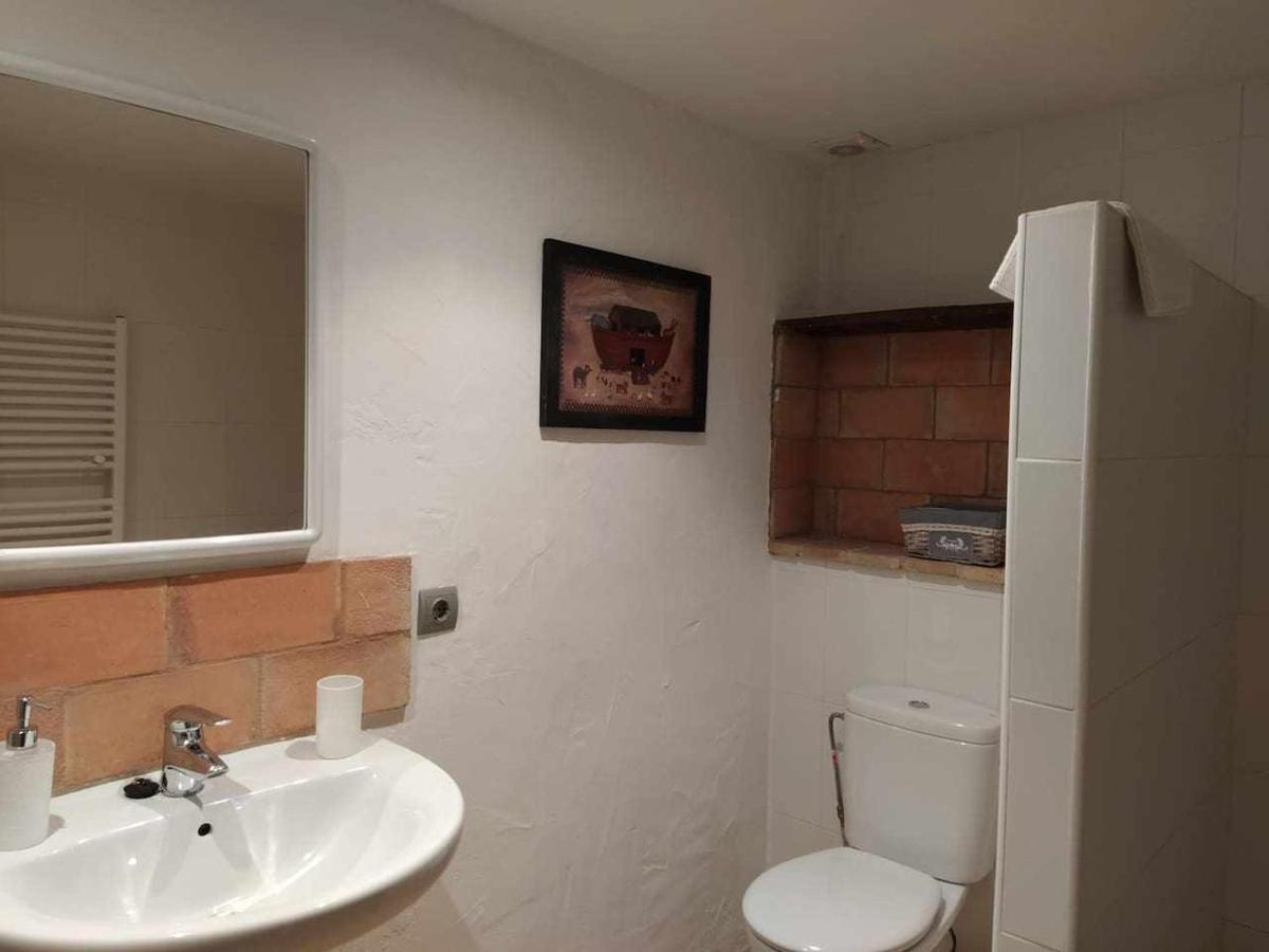 Mas Planella Casa Rural Mieres  Buitenkant foto