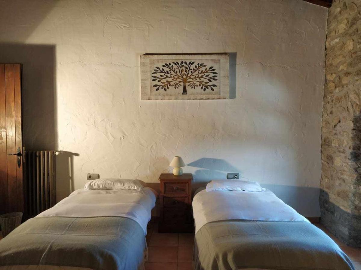 Mas Planella Casa Rural Mieres  Buitenkant foto